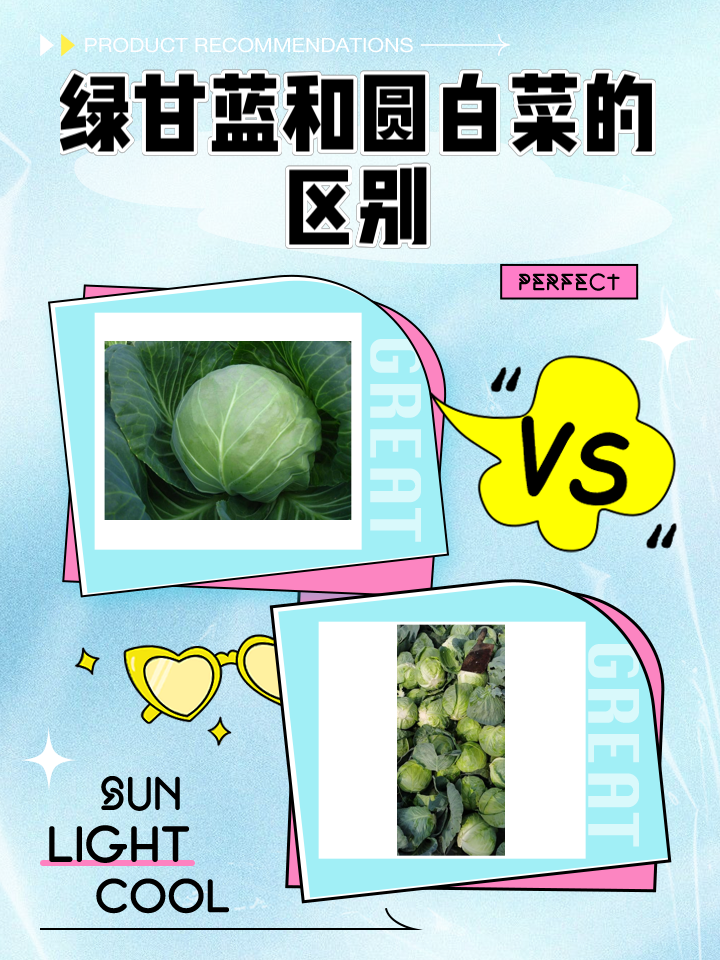酸菜是酸性还是碱性(酸菜属于碱性还是酸性食物)