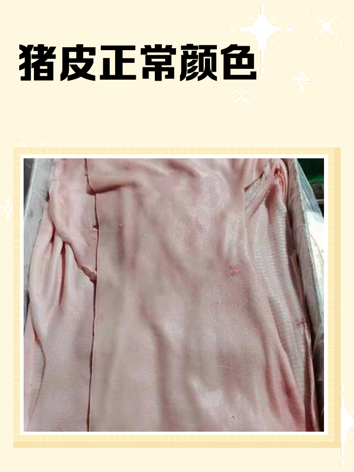 猪肉皮上有很多红点可不可以吃(猪肉皮上有红点怎么回事,能不能吃)