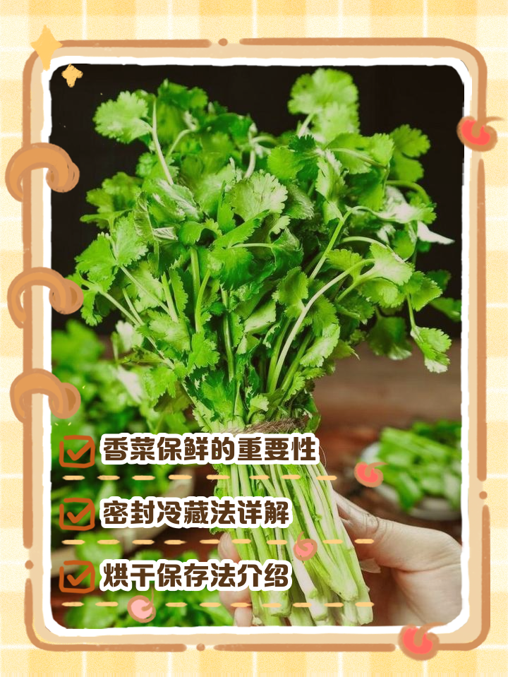 菜贩子蔬菜如何保鲜(水果商贩如何储存水果)