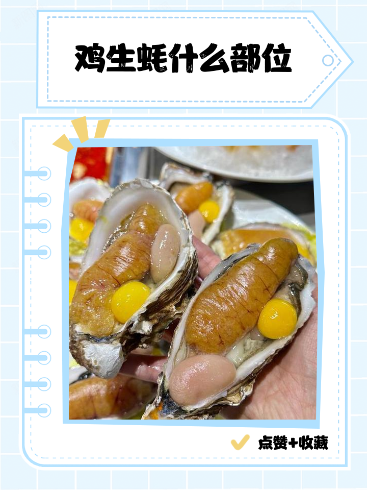 生蚝没熟吃了会怎么样(生蚝没熟吃了会有寄生虫吗)