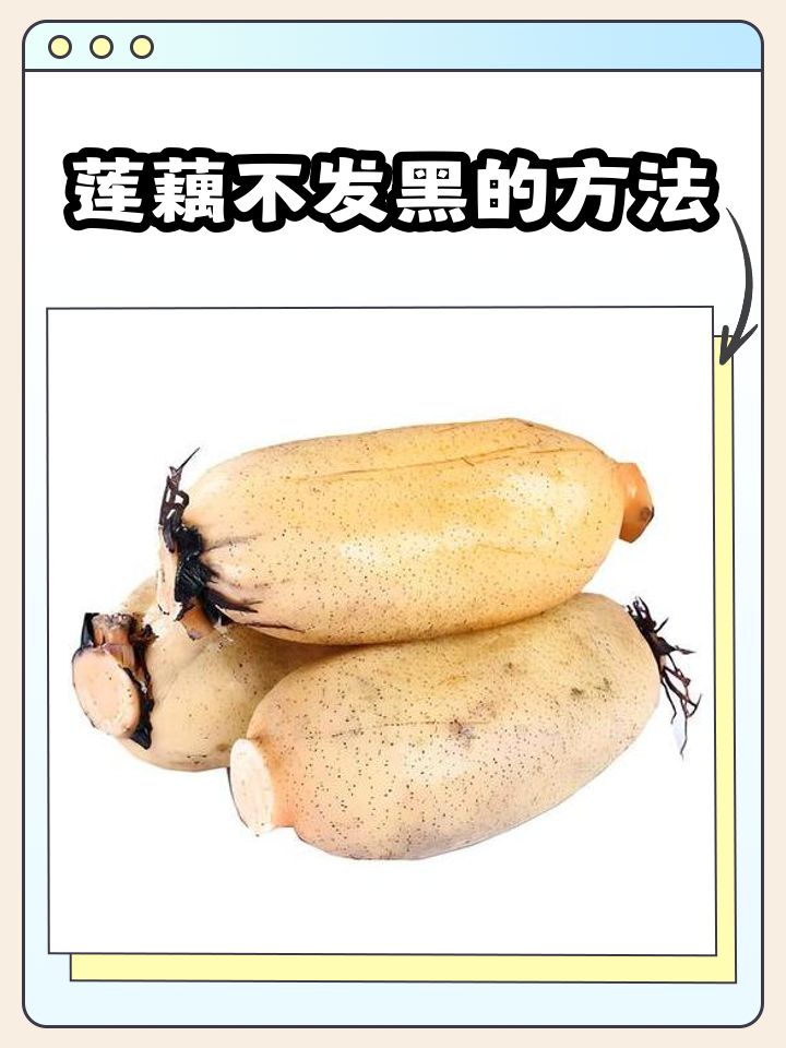 梦见莲藕是什么意思(梦见莲藕是什么意思有什么预兆)