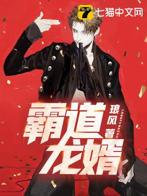 小说龙王婿(龙王婿无弹窗)