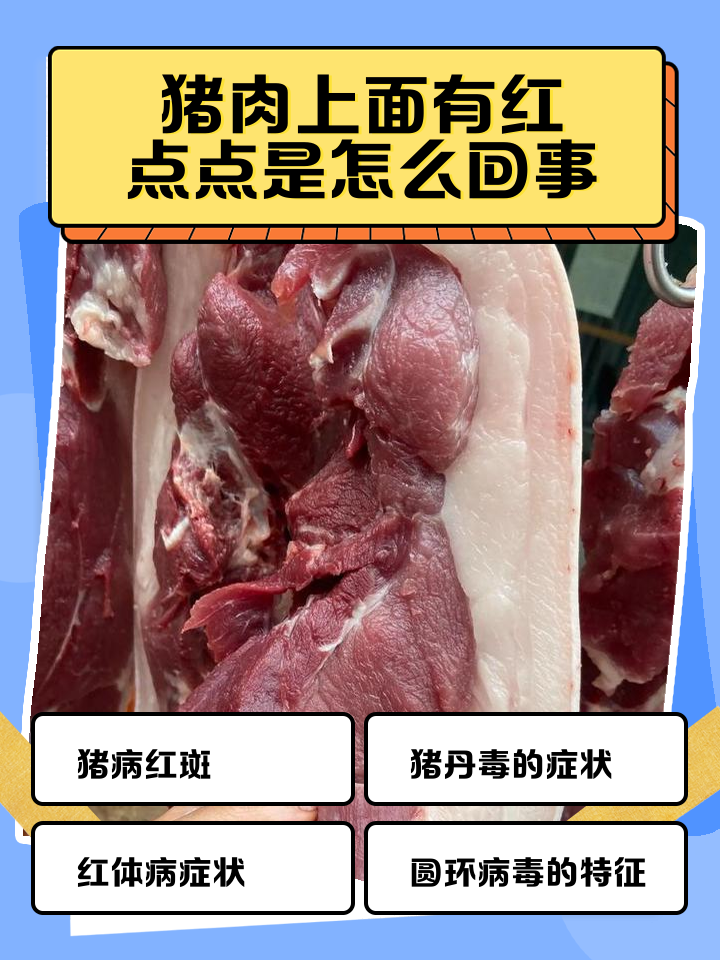 猪肉颜色暗红像牛肉(猪肉颜色暗红像牛肉一样正常吗)