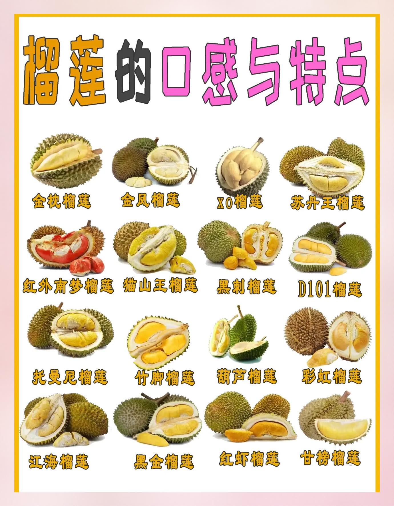 榴莲和鱼能一起吃吗(怎么选榴莲肉最好最多) 榴莲和鱼能一起吃吗(怎么选榴莲肉最好最多)