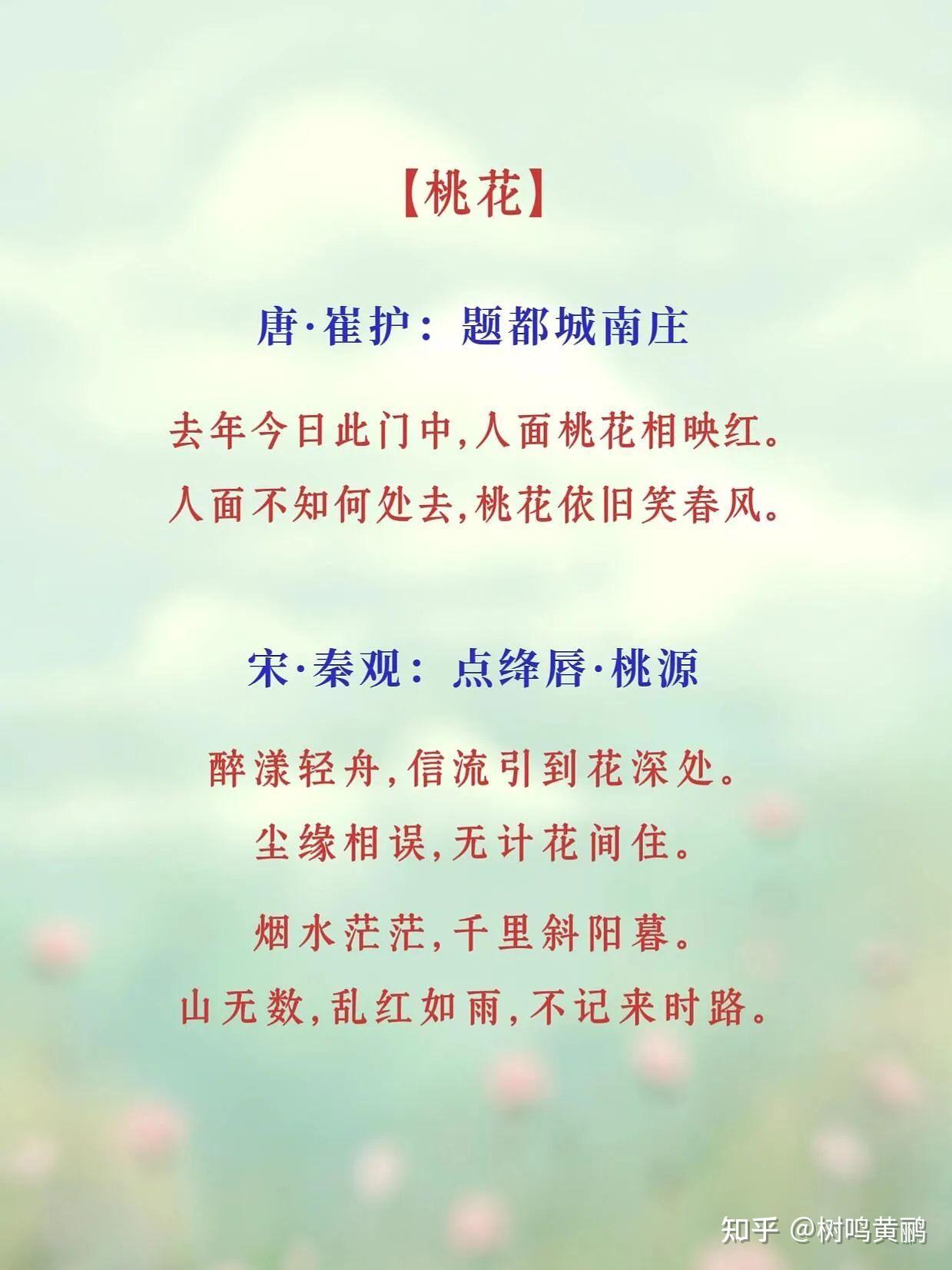 一朵花独自绽放的诗句(一朵花独自开放的励志说说)