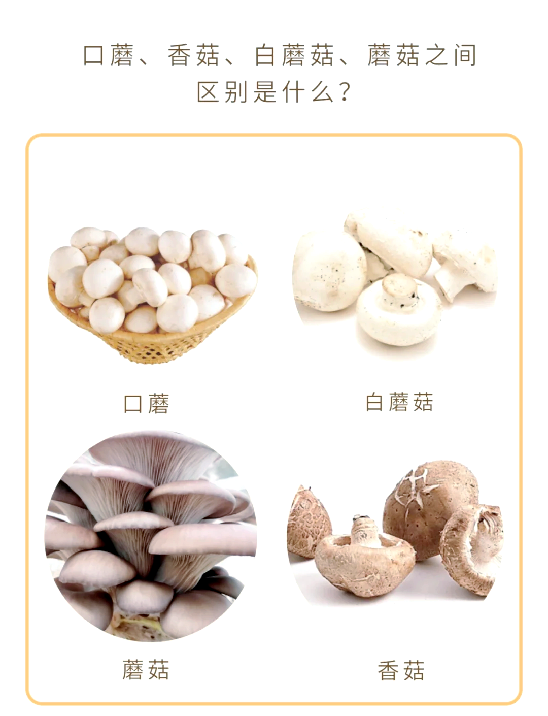 白蘑菇放几天有点变黑了(白蘑菇放几天有点变黑了能吃吗)