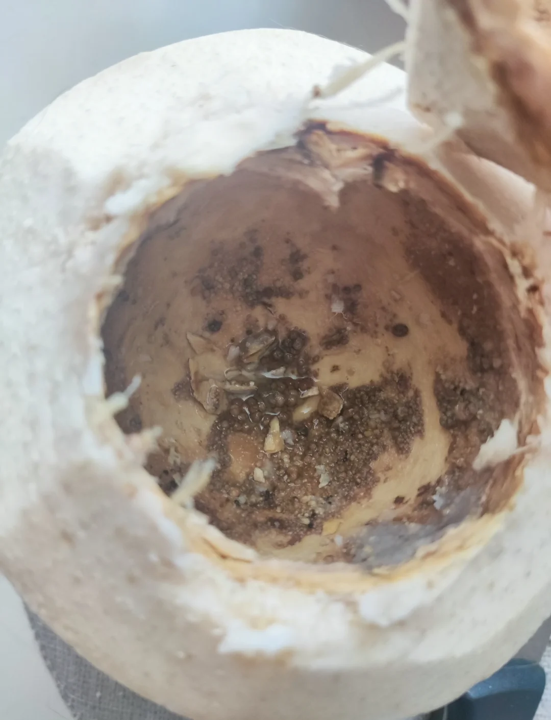 椰子水黄色的是坏了吗(椰子水有点黄了还能喝吗)