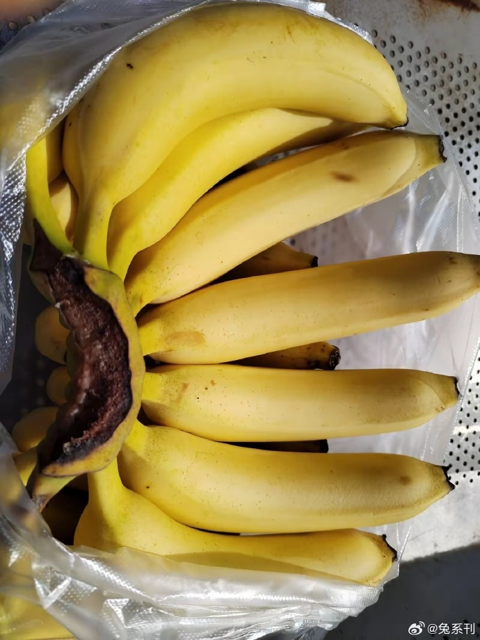 一斤香蕉有几根(一斤香蕉有几根啊)