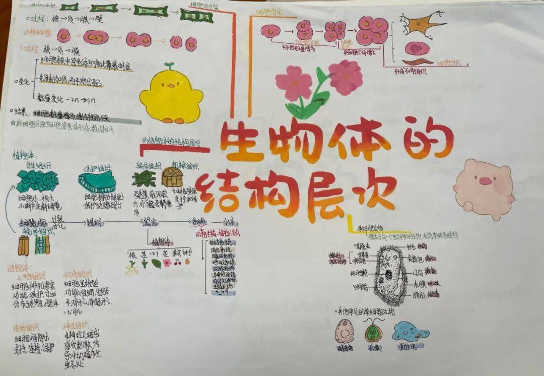 生物与生物之间的关系有什么(生物与生物之间的关系有什么区别)