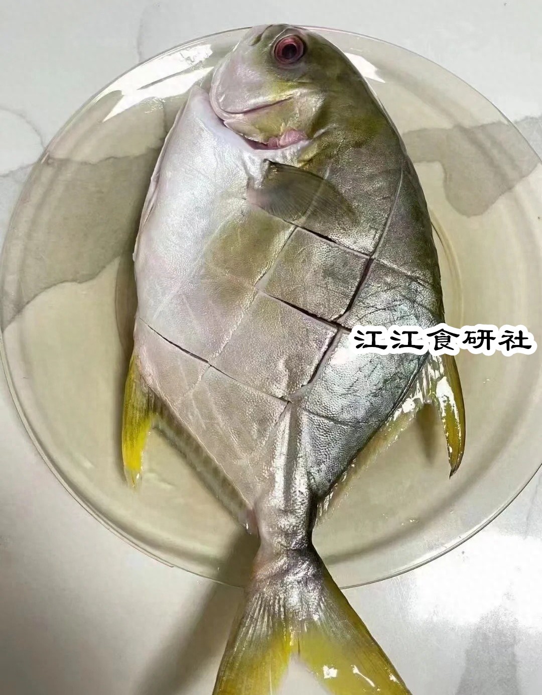 金鲳鱼为什么不能常吃(金鲳鱼为什么都是冰鲜的)