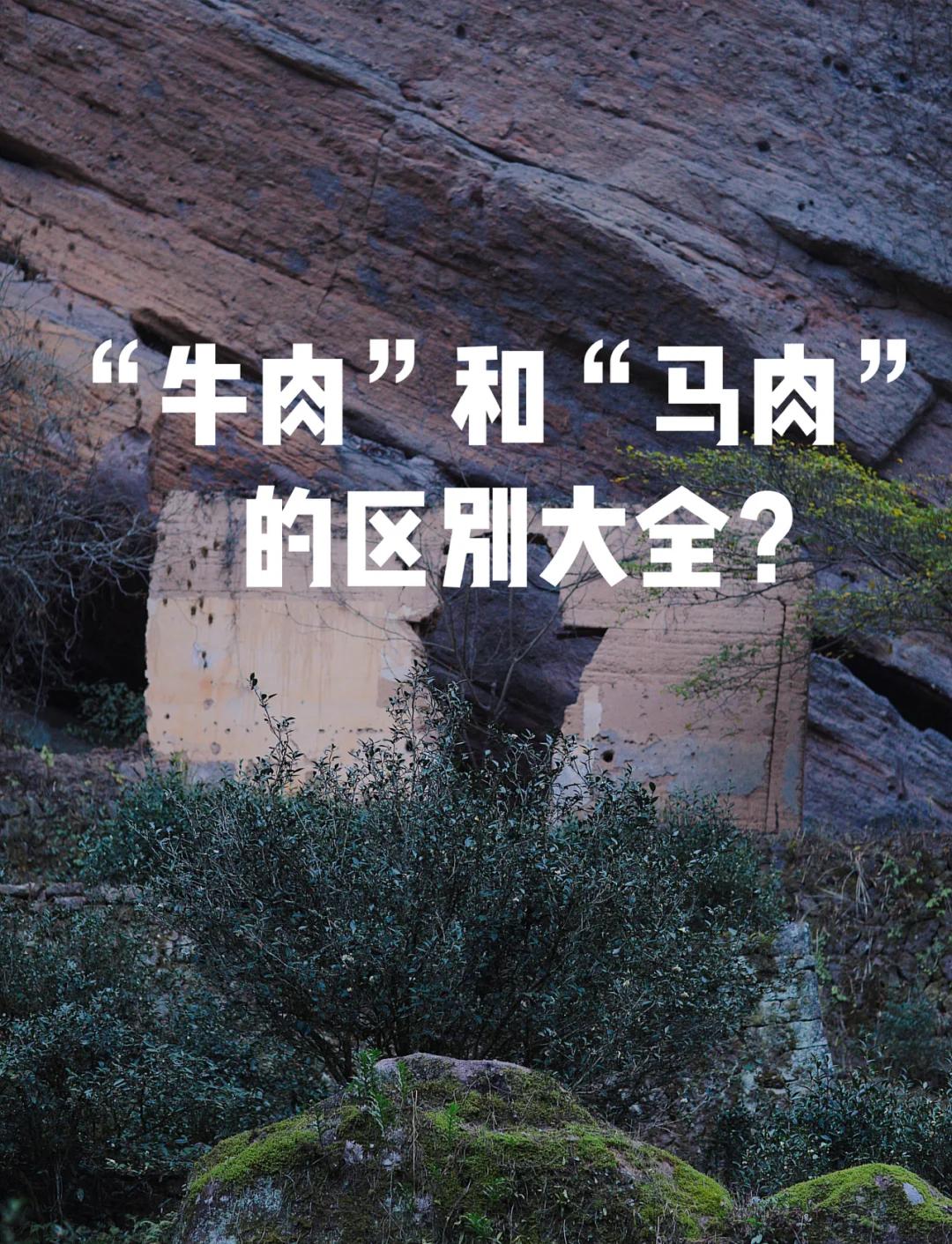 羊肉贵还是牛肉贵(羊肉贵还是牛肉贵山东)