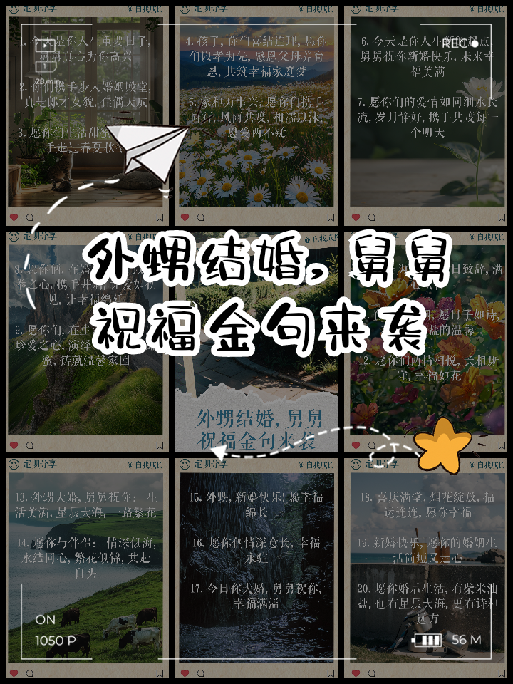 姐姐结婚小舅子致辞(姐姐结婚小舅子有什么好处)
