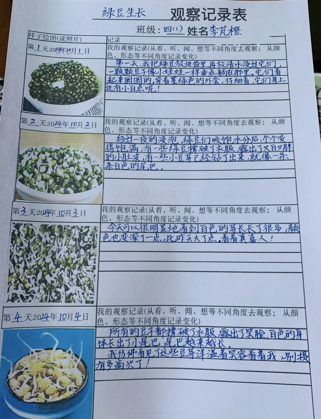 种黄豆的最佳时间在什么时候(南方种黄豆的最佳时间在什么时候)