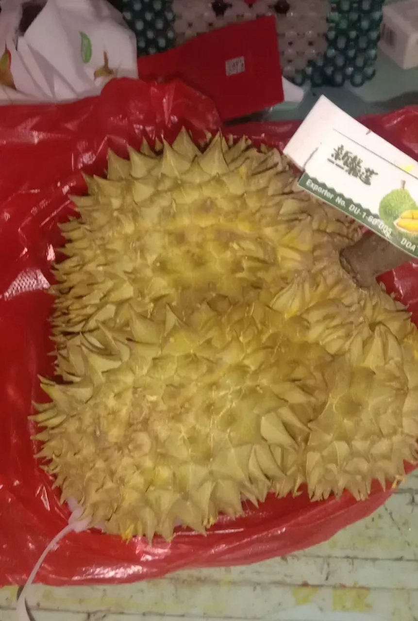 榴莲可以和西瓜一起吃吗?(榴莲不能跟什么一起吃 最佳答案)