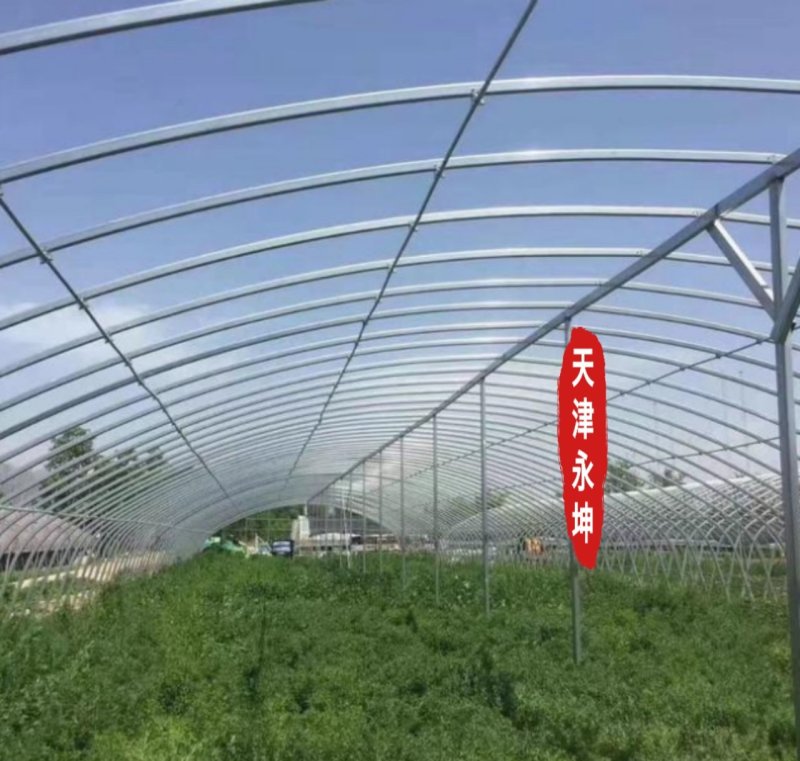 建一亩大棚多少钱(搭建一亩大棚要多少钱) 建一亩大棚多少钱(搭建一亩大棚要多少钱)