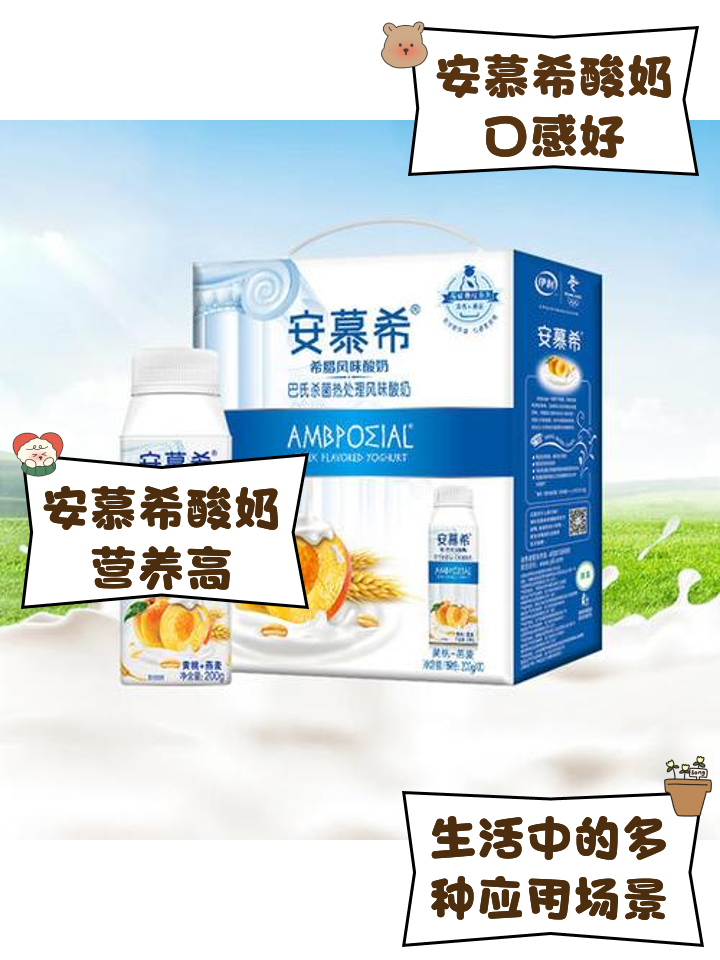 纯甄和安慕希哪个健康(纯甄与安慕希哪个营养更好) 纯甄和安慕希哪个健康(纯甄与安慕希哪个营养更好)