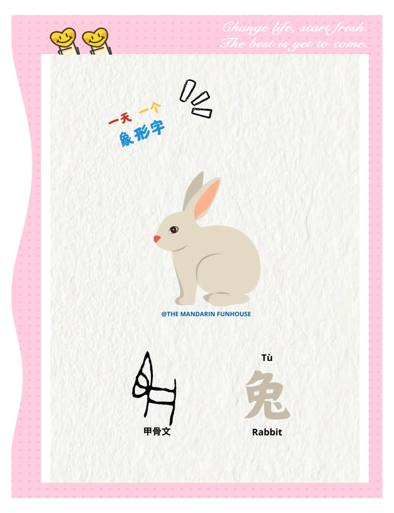 兔的笔顺怎么写(兔的笔顺笔画顺序怎么写) 兔的笔顺怎么写(兔的笔顺笔画顺序怎么写)