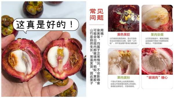 山竹什么时候吃是应季(山竹什么时候吃是应季水果) 山竹什么时候吃是应季(山竹什么时候吃是应季水果)