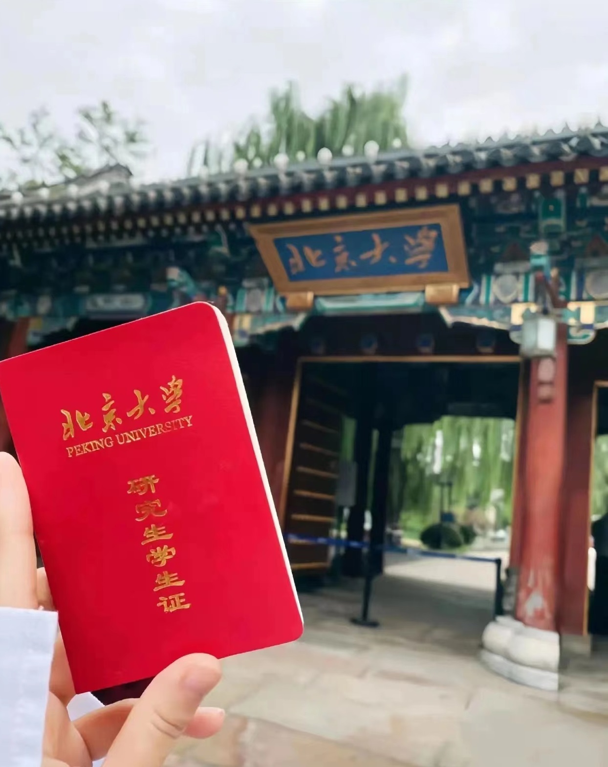 北京大学成人本科报名(北京大学成人本科报名人数) 北京大学成人本科报名(北京大学成人本科报名人数)