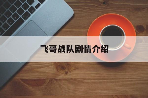 飞哥战队剧情介绍(飞哥战队第四十集剧情介绍)