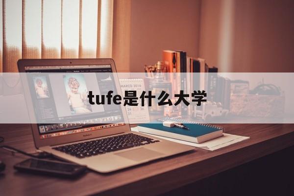 tufe是什么大学(tufts university相当于中国) tufe是什么大学(tufts university相当于中国)